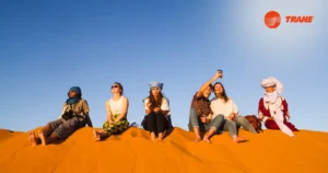 Read more about the article Trane: The Preferred Choice for Climate Control at Saudi Arabian Festivals
