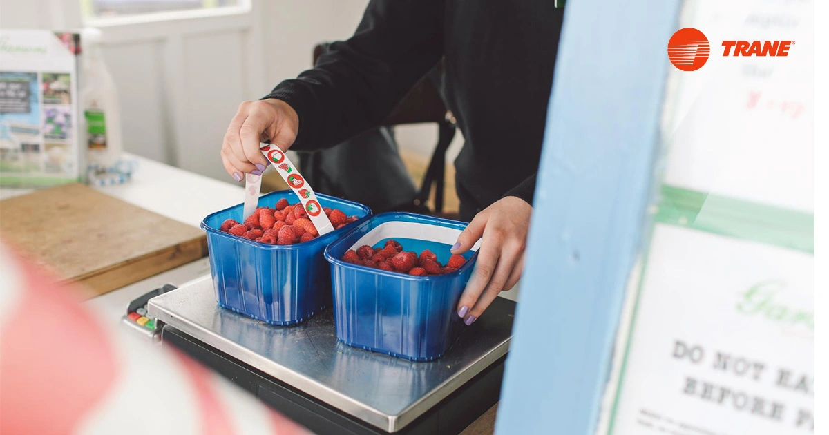 Portable Cold Storage